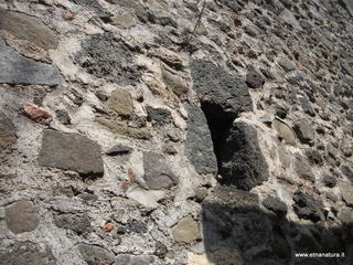 stioncello-16-09-2014 14-09-35